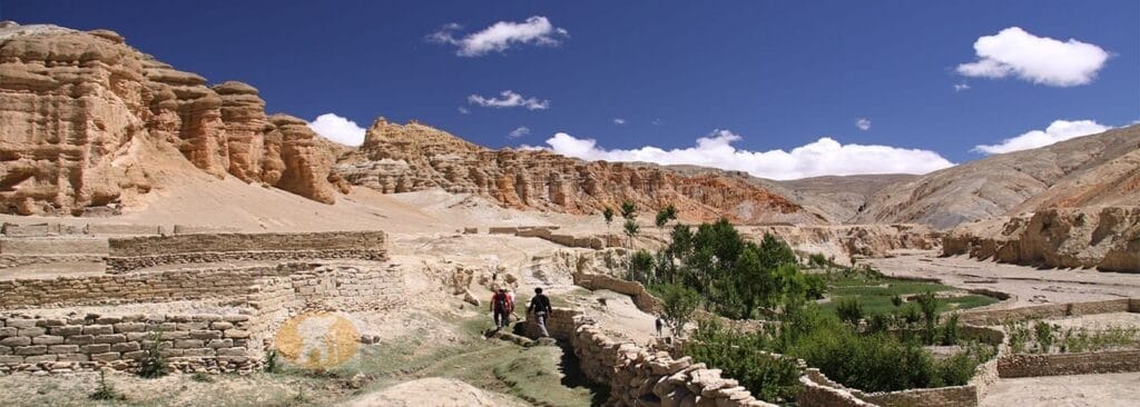 Mustang Trek Min