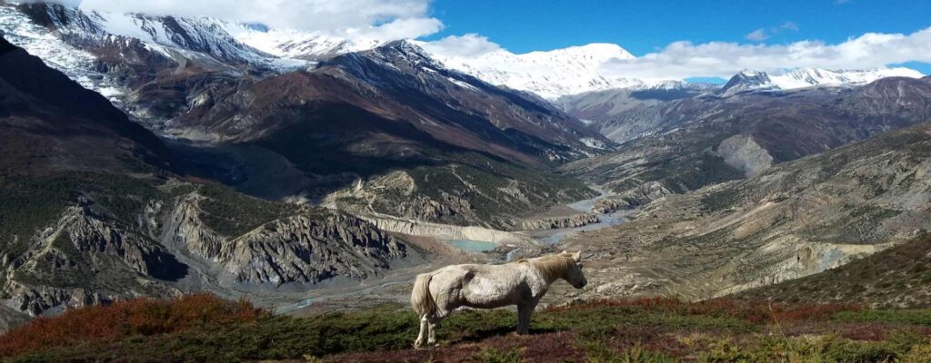 Annapurna Circuit Trek 743 Min