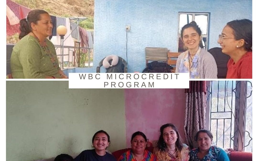 Supporting Women Through Financial Inclusion: A Closer Look at the WBC Microcredit Program