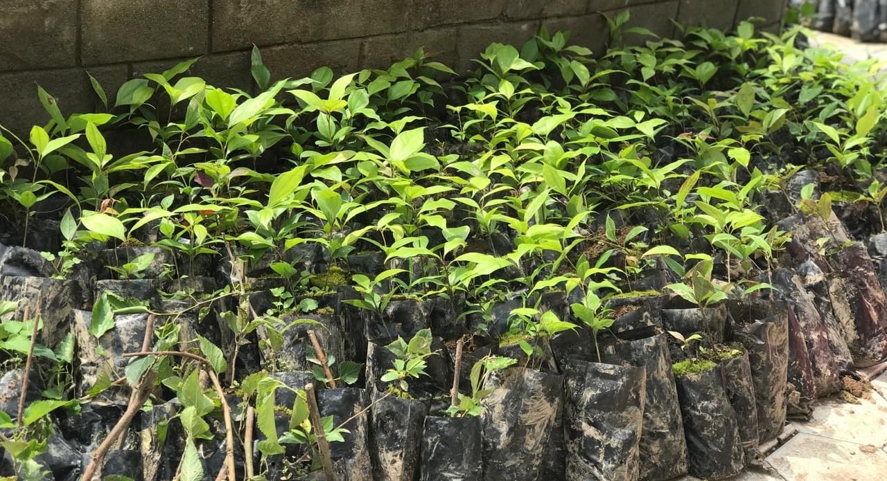 Agroforestry Volunteer Opportunity in Nepal Agroforestry Volunteer Opportunity in Nepal