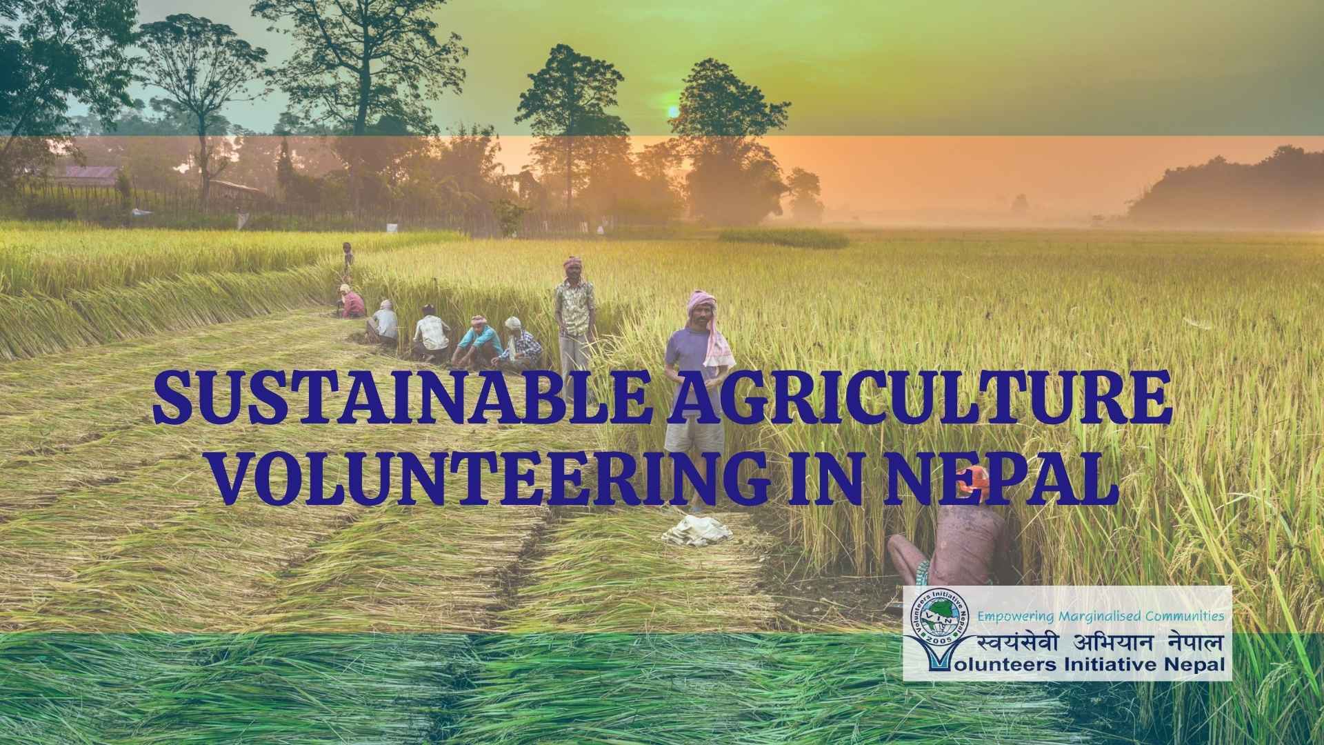 Sustainable Agriculture Volunteering Sustainable Agriculture Volunteering