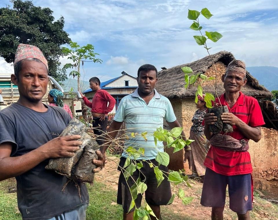 Reforestation Volunteer Opportunities